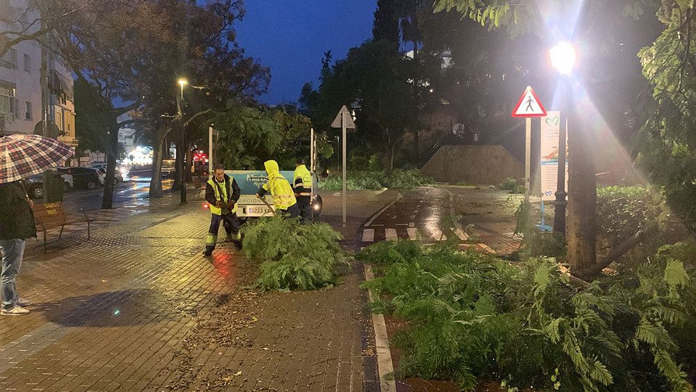 Movilizados un centenar de efectivos y una treintena de vehículos para restablecer la normalidad tras el tornado y la fuerte lluvia registrada en Marbella