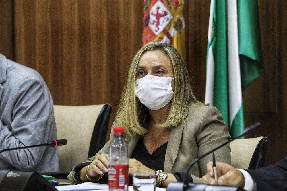 Fomento destinará un millón de euros a la construcción del intercambiador de autobuses de San Pedro Alcántara