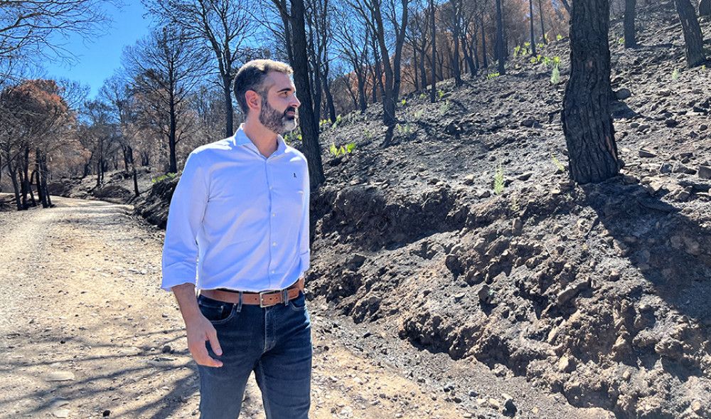 La Junta invertirá cerca de 23 millones de euros para prevenir incendios a través de 31 obras forestales