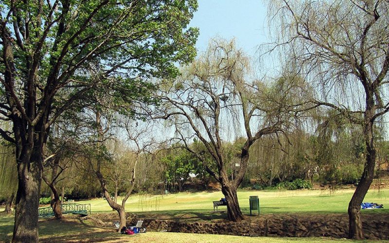 Un estudio del CSIC cuantifica el valor del carbono almacenado en parques y jardines