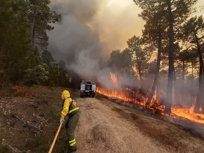 Aprobado el Decreto ley para crear la Agencia de Seguridad y Gestión Integral de Emergencias