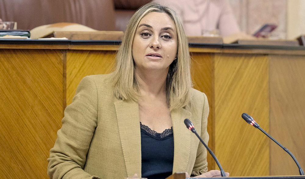 Desde 2019 la Junta ha vendido suelo para la construcción de 1.500 viviendas en Andalucía