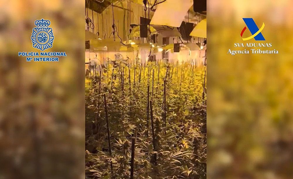 Desarticulada una organización que pretendía introducir 3.000 kilos de hachís en Girona mediante veleros