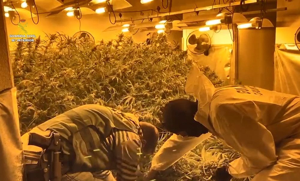 La Guardia Civil desmantela dos plantaciones "indoor" de marihuana en Alhaurín el Grande y Fuengirola
