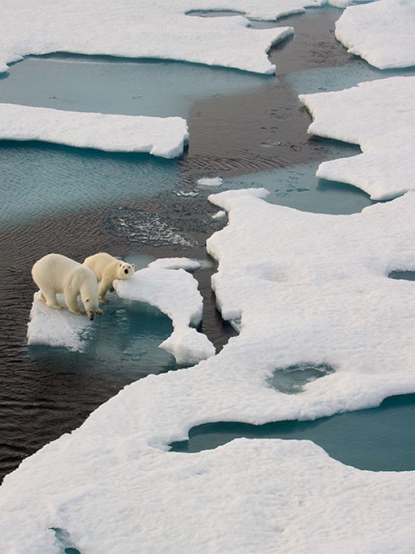 Expertos afirman que las emisiones de efecto invernadero están en su punto más alto y provocan un calentamiento global sin precedentes