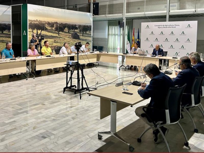 Andalucía ofrece ayudas para los afectados por el fin del acuerdo pesquero con Marruecos