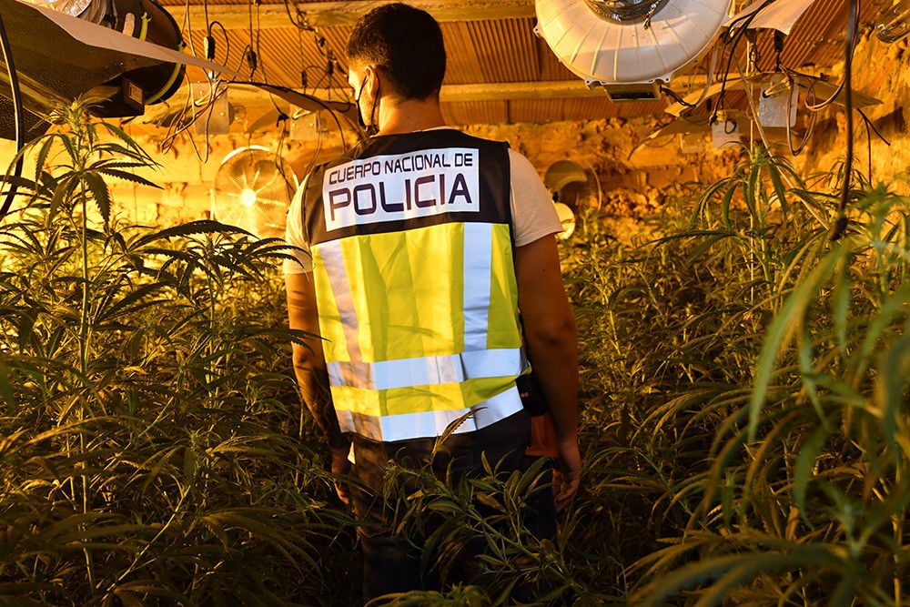Desarticulada una organización criminal dedicada al tráfico de drogas y blanqueo de capitales con el método de la “Hawala”