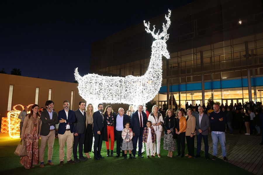 La Diputación inaugura la Navidad con actividades para todos los públicos y el tradicional Belén y alumbrado de su sede