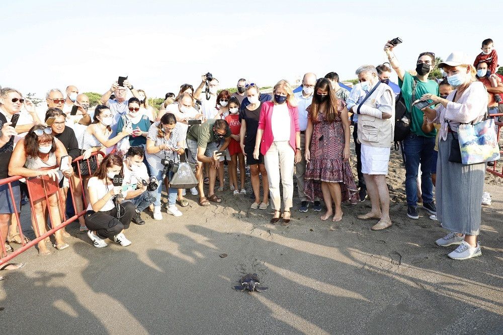 Suelta de 39 tortugas bobas con marcadores satelitales en la playa marbellí de Cabopino