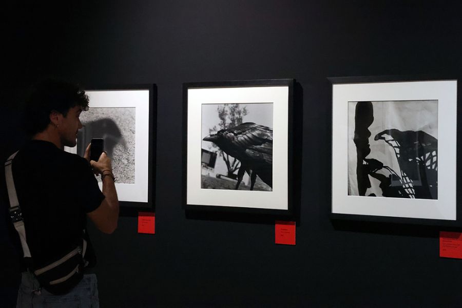 La Térmica presenta ‘Expresionismo feroz’, una exposición inédita en España del fotógrafo Alberto García-Alix