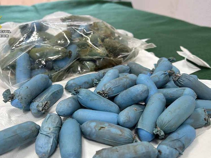 Esclarecida la muerte de una persona que transportaba cocaína en su estómago y que fue abandonada en un centro de salud de La Rioja