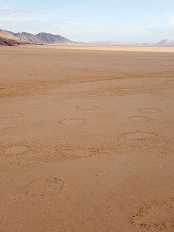 Encuentran los misteriosos círculos de hadas en 263 desiertos de todo el mundo