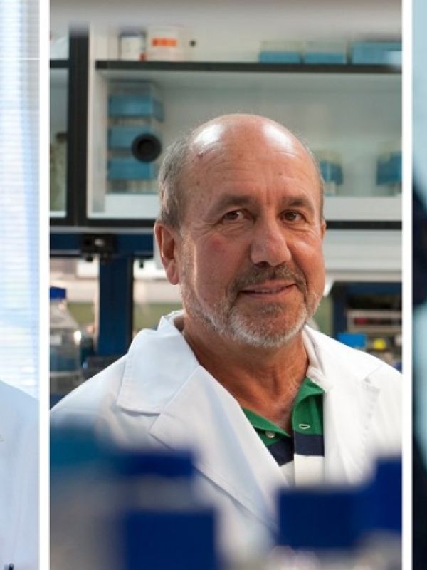 Los científicos del CSIC Luis Enjuanes, Mariano Esteban y Margarita Salas, Medalla al Mérito en la Investigación