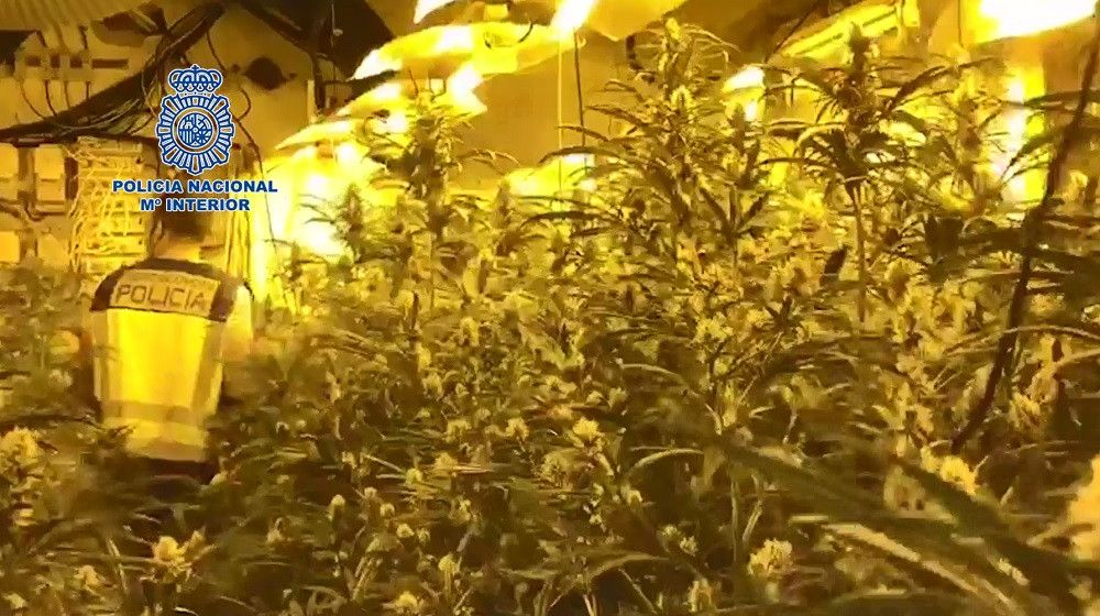 Desmantelada en la provincia de Málaga la rama criminal de origen serbio-ucraniano vinculada a otra organización ya desmantelada por tráfico de drogas