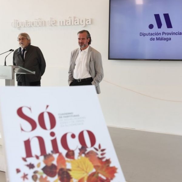 La Diputación fomenta la difusión y divulgación de la obra del poeta y dramaturgo Romero Esteo