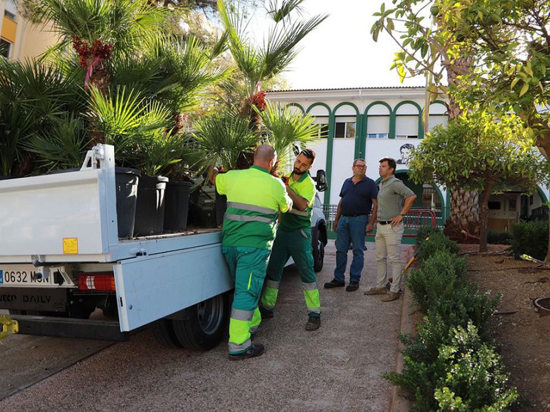 El Ayuntamiento culmina la remodelación del muro perimetral y de la entrada del CEIP Federico García Lorca con el ajardinamiento de la zona y un nuevo sistema de riego