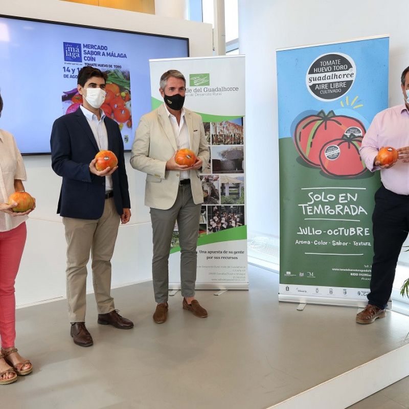 Sabor a Málaga’ dedica su Mercado Gastronómico de Coín al Tomate Huevo Toro por segundo año consecutivo