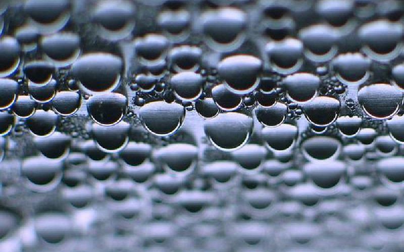 El CSIC lidera un proyecto europeo para obtener hidrógeno verde a partir de bacterias
