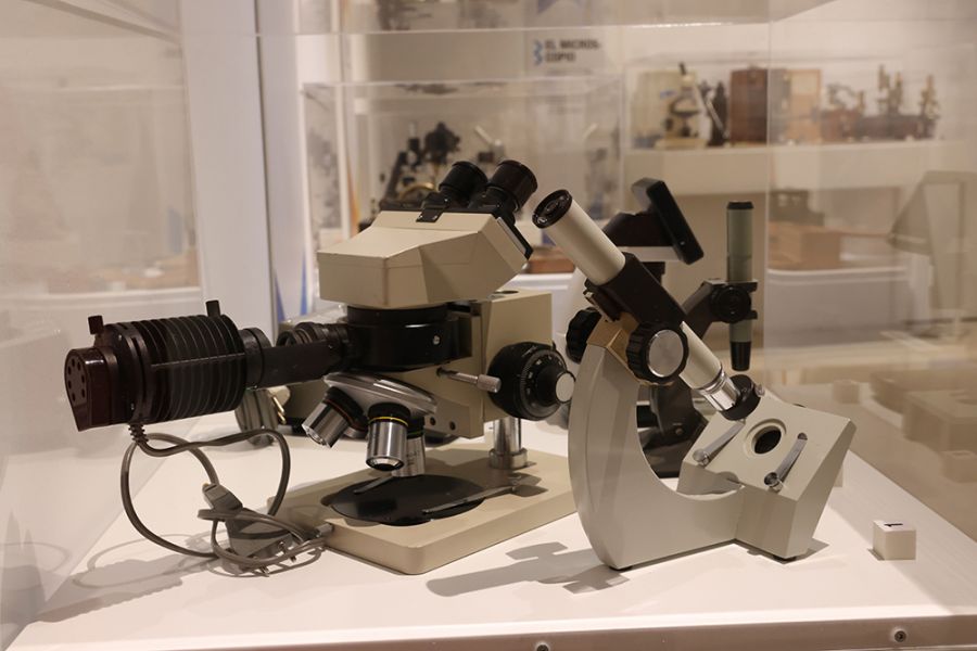 La Diputación colabora con la SEAP para traer a Málaga la exposición ‘Luz y microscopía’