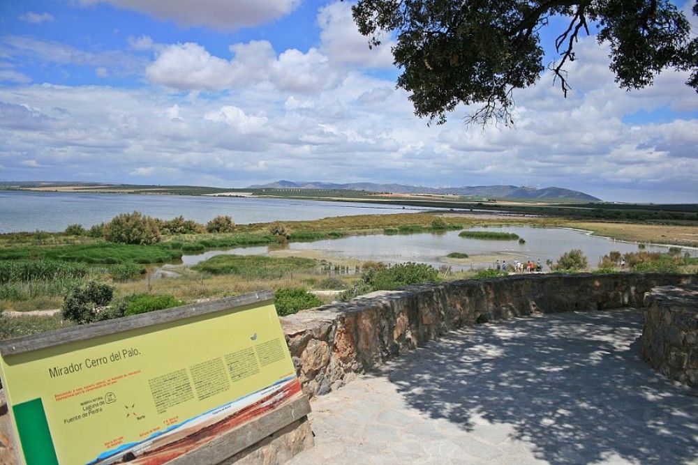 Mañana viernes reabren los Centros de Visitantes de los Espacios Naturales de Málaga