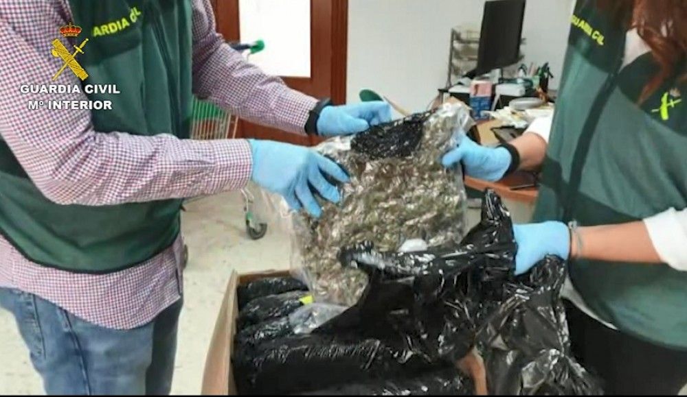 La Guardia Civil desmantela en Sevilla una red dedicada al tráfico internacional de marihuana