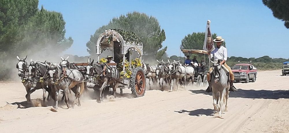 Cuarenta filiales finalizan hoy el Camino del Rocío bajo la protección del Plan Romero