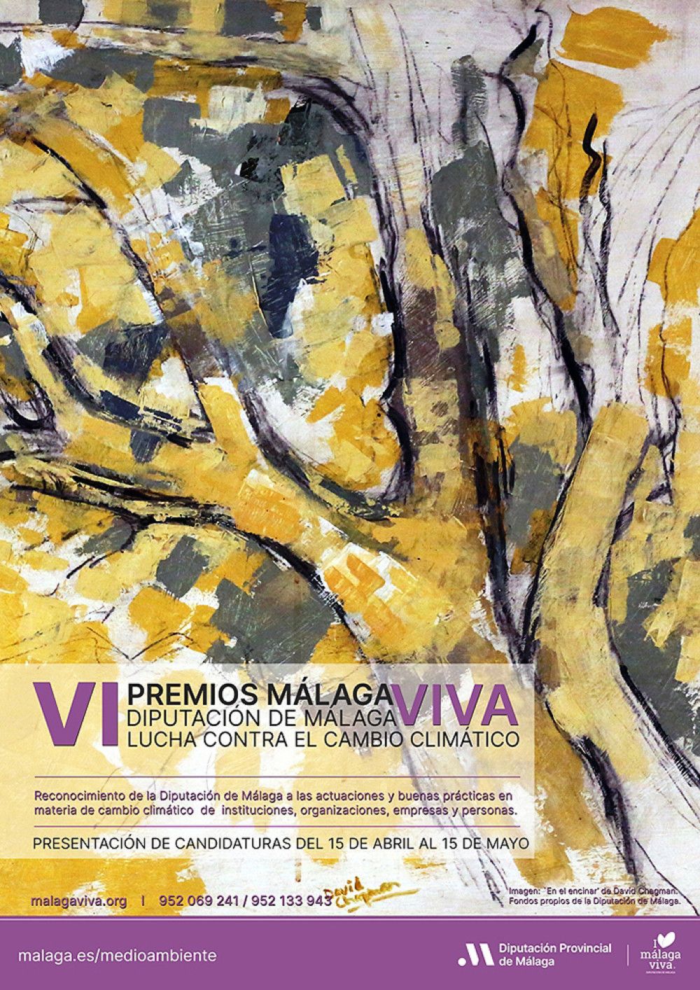 Los Premios Málaga Viva de la Diputación reciben este año 44 candidaturas