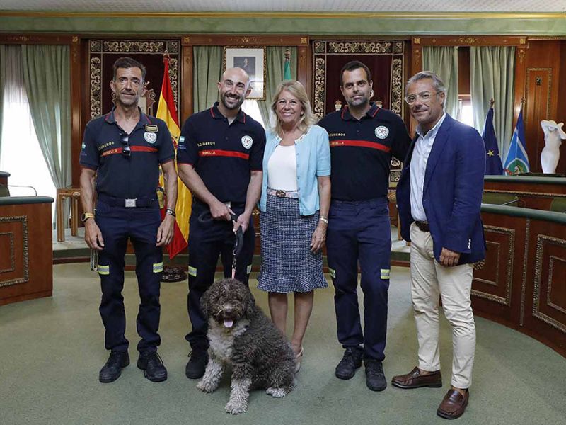 El Ayuntamiento propondrá a los dos bomberos desplazados a Marruecos en labor humanitaria para la Medalla de Protección Civil