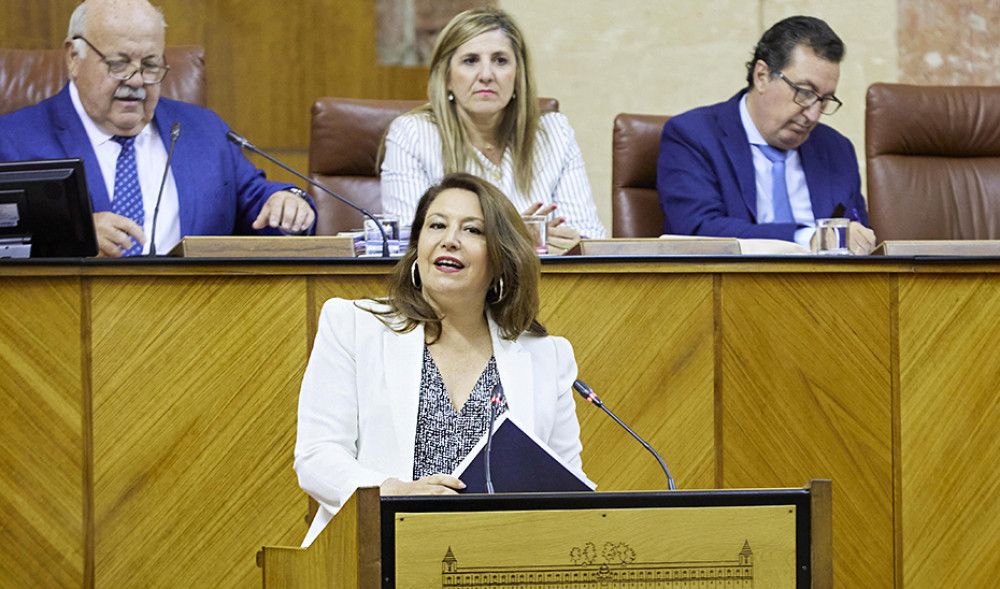 El Parlamento de Andalucía convalida las medidas y actuaciones del tercer decreto de sequía