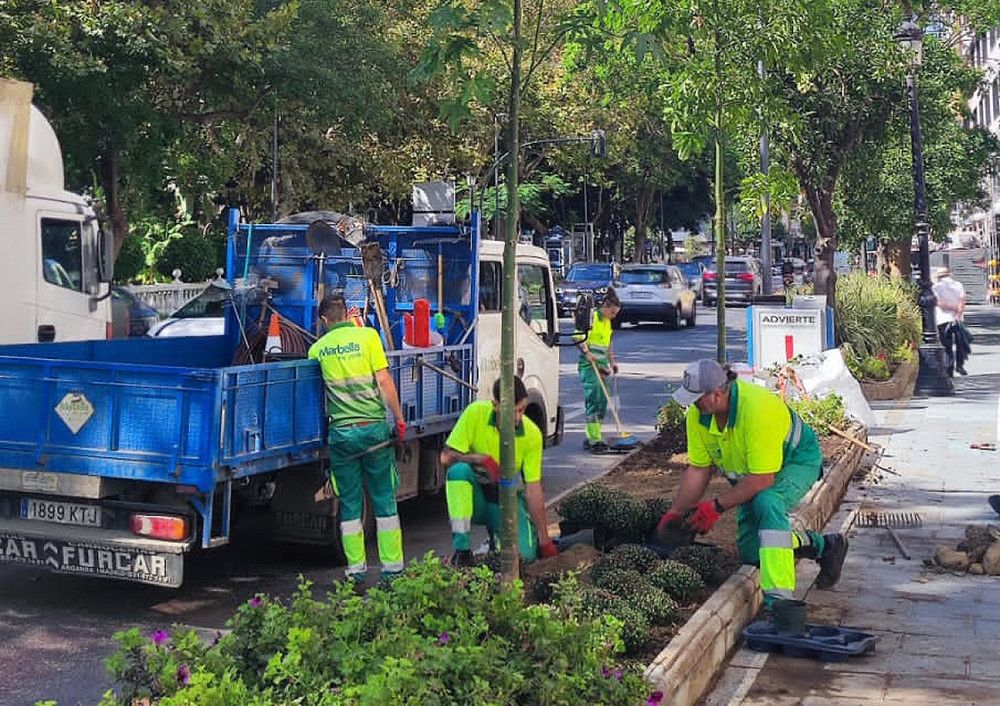 El Ayuntamiento restaura la jardinera afectada por la caída de un árbol de gran porte en Ricardo Soriano