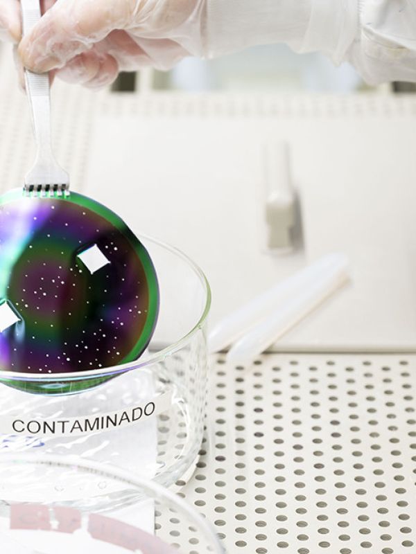 Los países con más desigualdades socioeconómicas internas tienen menos capacidad de innovación verde