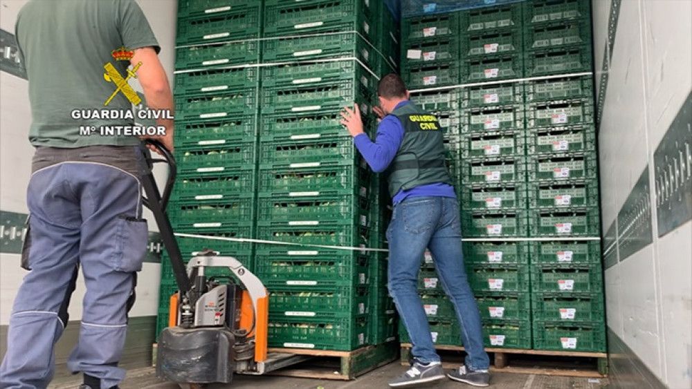Once detenidos en Málaga por transportar en camiones droga oculta entre toneladas de coliflores