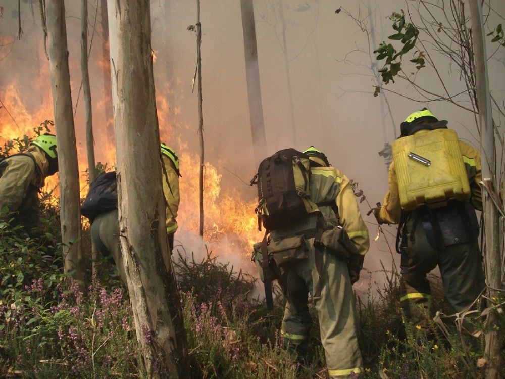 Transición Ecológica actúa simultáneamente en 10 incendios con 23 medios aéreos y 4 brigadas de extinción