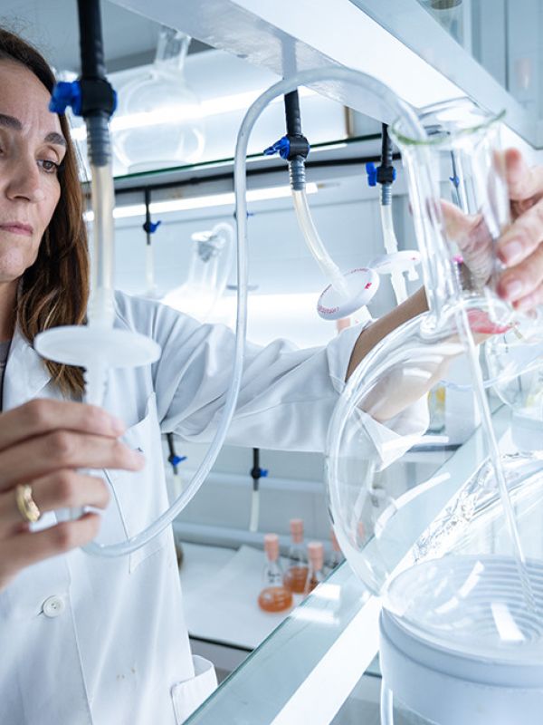 La Bienal Ciudad y Ciencia 2023 arranca con la participación del CSIC y el foco puesto en el concepto de vida
