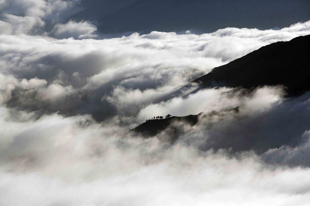 Se cumplen 25 años de la designación de la Sierra de las Nieves como Reserva de la Biosfera por la Unesco