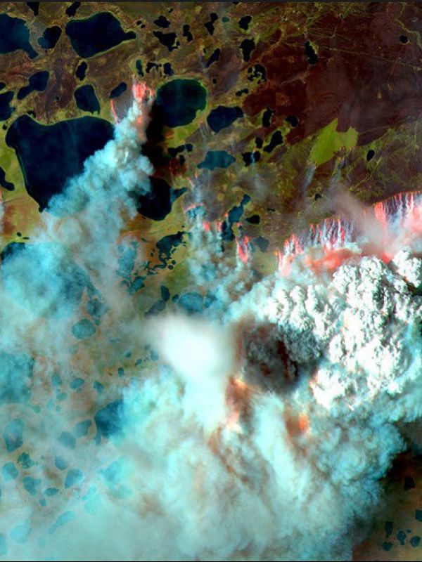 El calentamiento climático en el Ártico está aumentando los grandes incendios en el permafrost