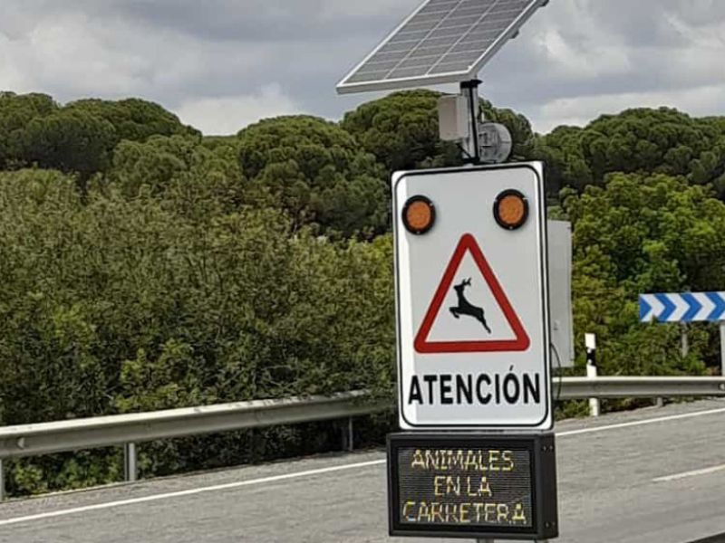 Instalados en varias carreteras andaluzas dispositivos para evitar el atropello de animales