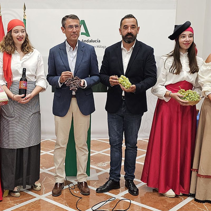 El Borge, municipio con mayor número de paseros de la provincia de Málaga, celebra este domingo el Día de la Pasa