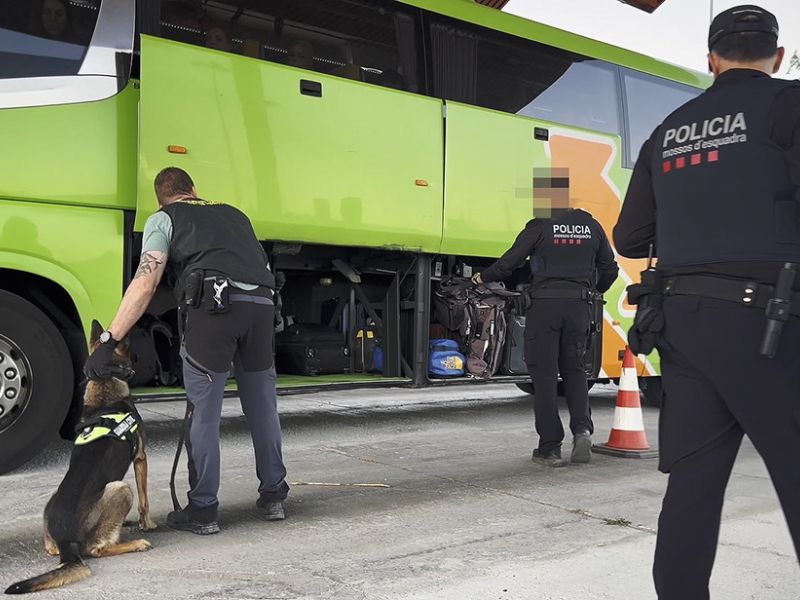 España lidera una operación europea contra el tráfico de armas, drogas y seres humanos que se salda con 566 detenidos