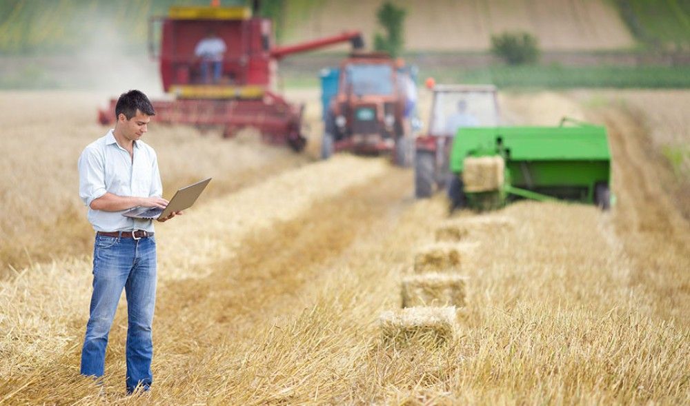 El Grupo de Expertos Andaluces por la PAC solicita la retirada del Real Decreto de ayudas por su grave perjuicio a los agricultores