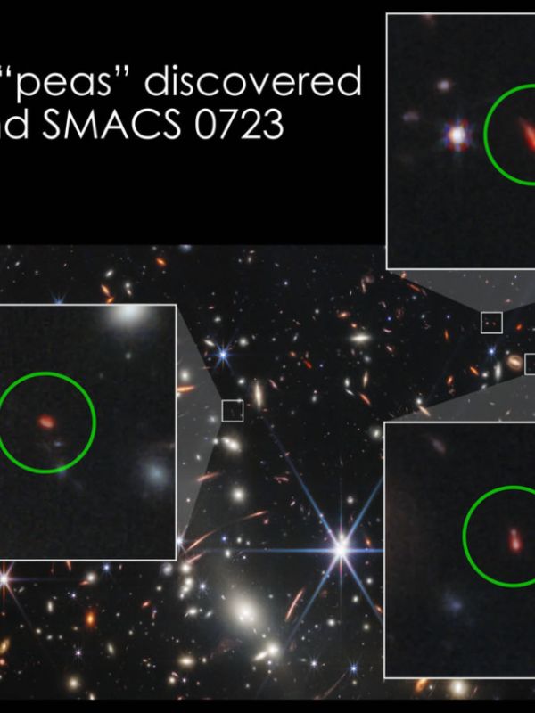 El telescopio Webb revela vínculos entre las galaxias cercanas y lejanas