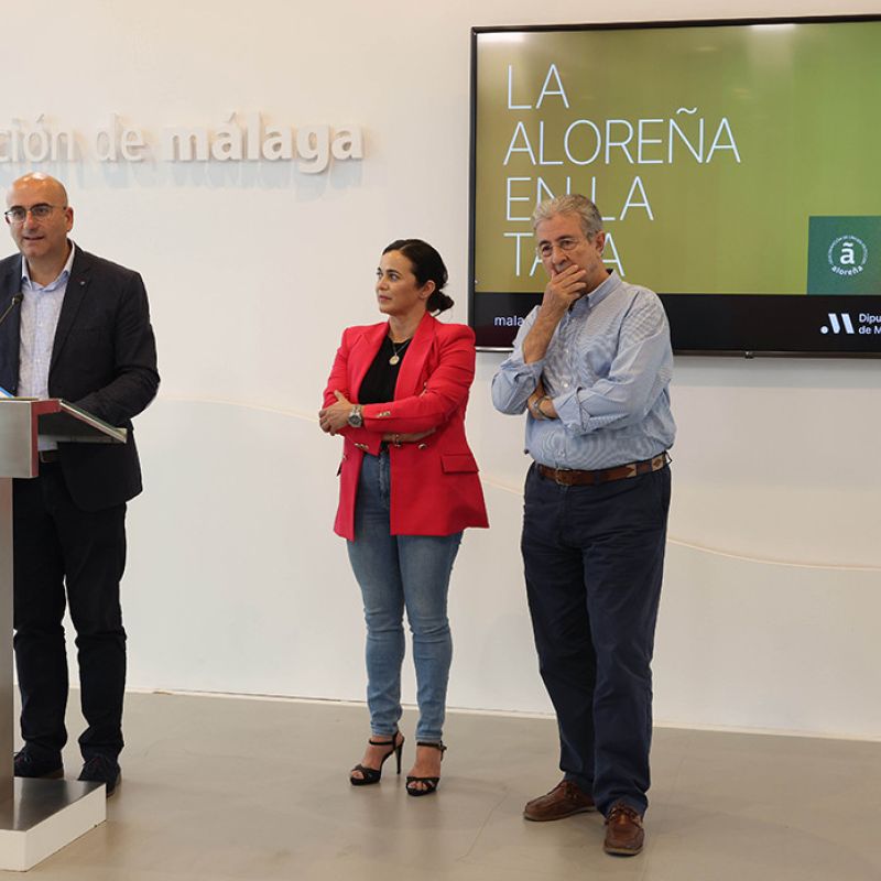 Sabor a Málaga impulsa un recetario con los mejores platos elaborados con Aceituna Aloreña