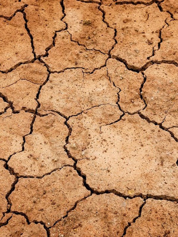 El cambio climático influye en la probabilidad de que se desencadenen conflictos armados