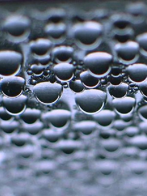 El CSIC lidera un proyecto europeo para obtener hidrógeno verde a partir de bacterias