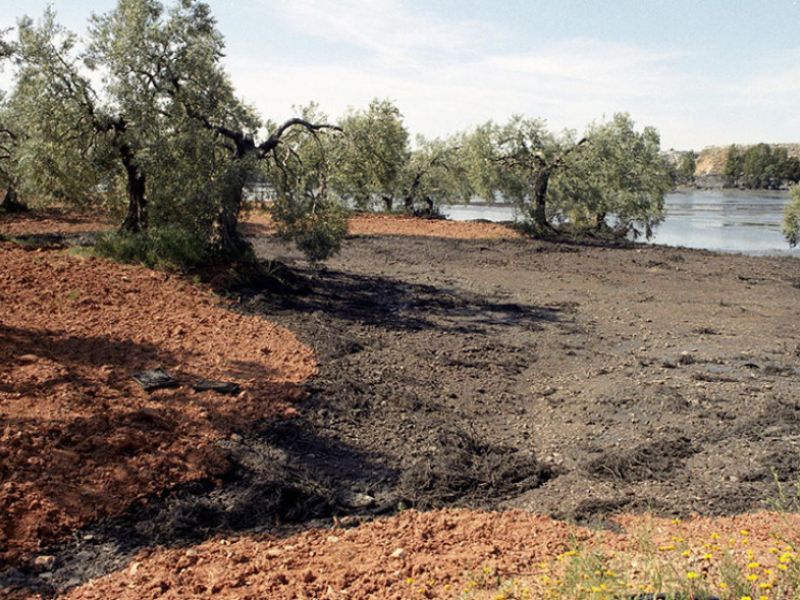 La Junta recurrirá la sentencia que exime a Boliden de pagar el coste de la limpieza del vertido