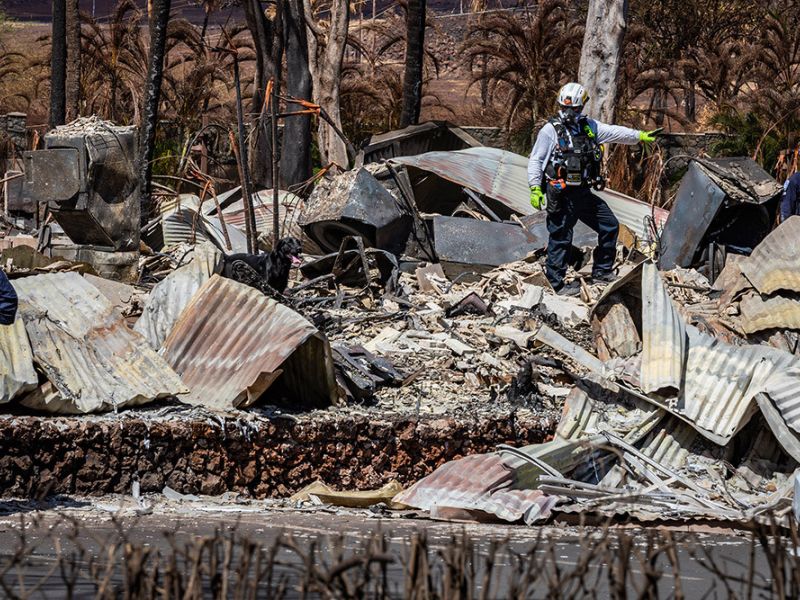 El número de muertos por los incendios en Hawái alcanza los 110