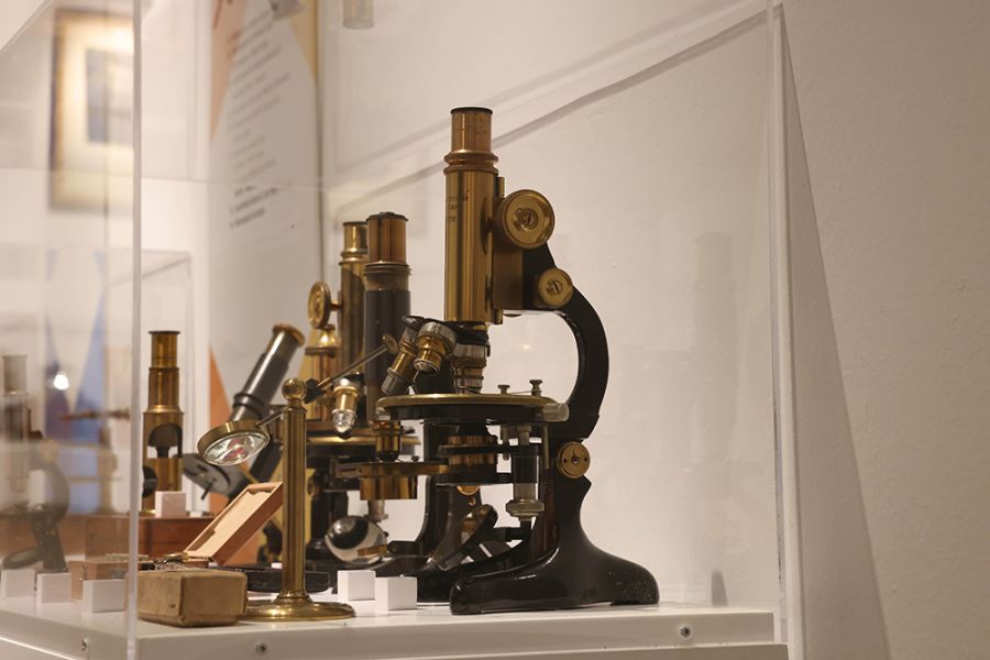 La Diputación colabora con la SEAP para traer a Málaga la exposición ‘Luz y microscopía’