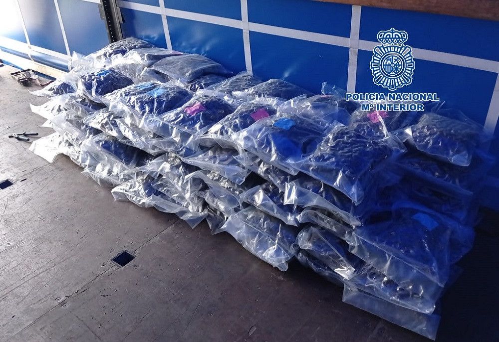 La Policía Nacional detiene en la provincia de Málaga a cinco personas por tráfico de drogas e interviene 175 kilos de cogollos de marihuana