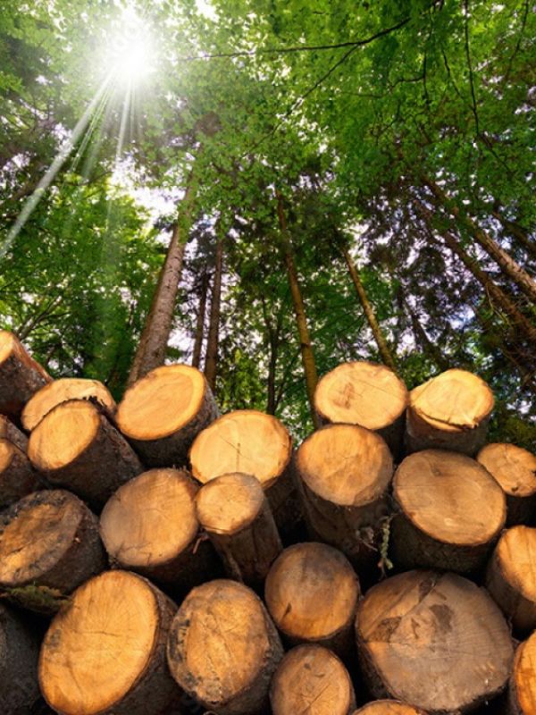 Biorrefinerías para convertir residuos vegetales en combustible renovable