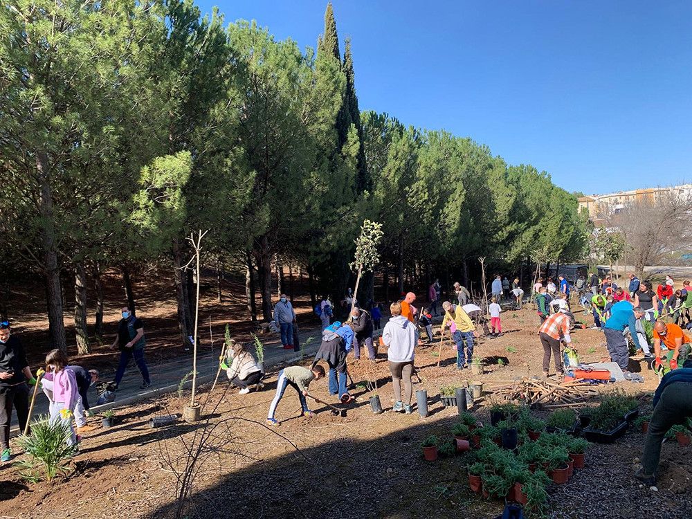Las arboladas’ de la Diputación pondrán en valor parajes de Villanueva del Trabuco, Cuevas del Becerro y Cañete la Real